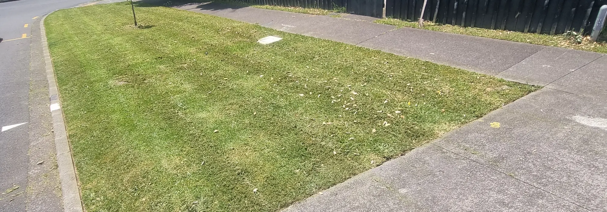 A freshly mown front lawn with the edges cut in along the footpath