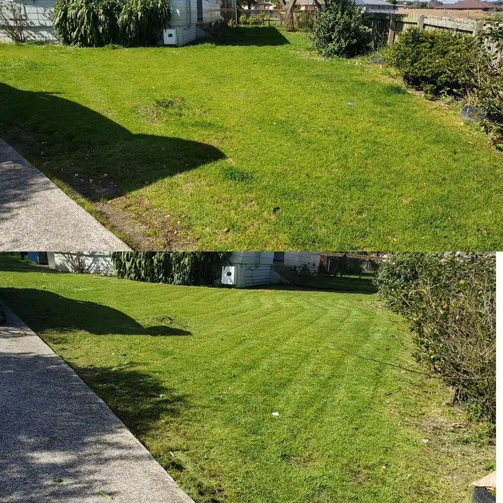 Before and after 11: a South Auckland section tidied up by 0-Nine Lawn Care
